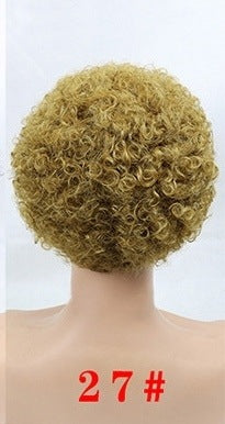 Wisaura™ Whole Wig