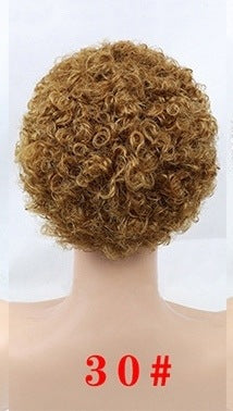 Wisaura™ Whole Wig