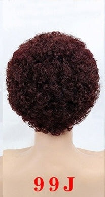 Wisaura™ Whole Wig